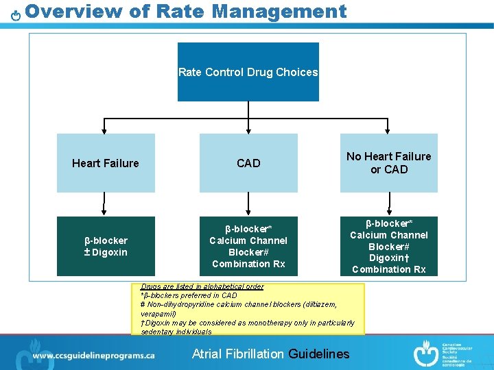 Overview of Rate Management Rate Control Drug Choices Heart Failure CAD No Heart Failure
