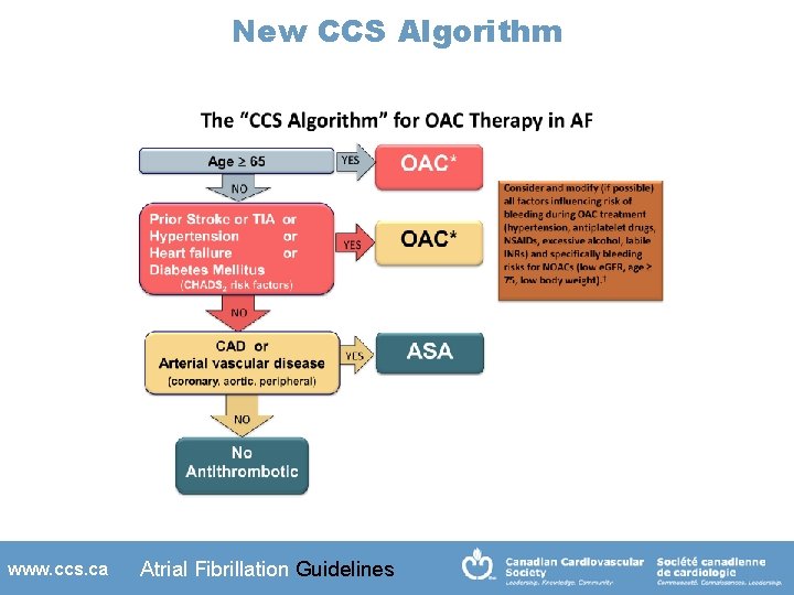 New CCS Algorithm www. ccs. ca Atrial Fibrillation Guidelines 