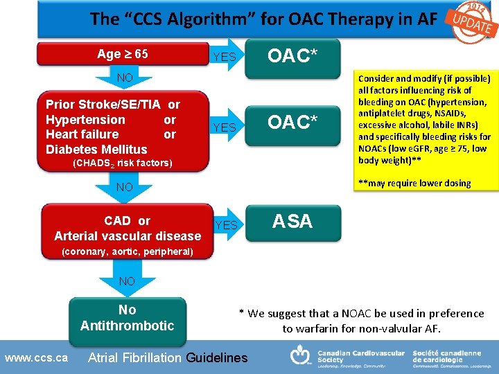 The “CCS Algorithm” for OAC Therapy in AF Age ³ 65 OAC* YES NO