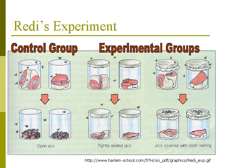 Redi’s Experiment http: //www. harlem-school. com/5 TH/sci_pdf/graphics/Redi_exp. gif 