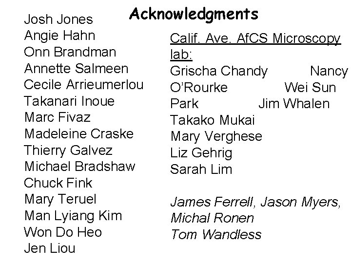 Acknowledgments Josh Jones Angie Hahn Calif. Ave. Af. CS Microscopy Onn Brandman lab: Annette