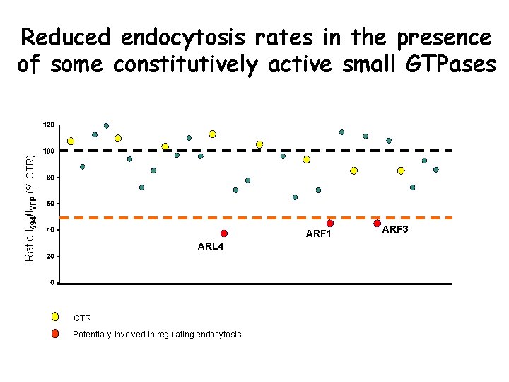 Ratio I 594/IYFP (% CTR) Reduced endocytosis rates in the presence of some constitutively