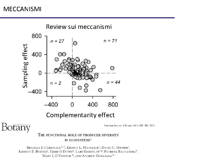 MECCANISMI Sampling effect Review sui meccanismi Complementarity effect 