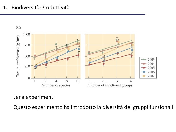 1. Biodiversità-Produttività Jena experiment Questo esperimento ha introdotto la diversità dei gruppi funzionali 
