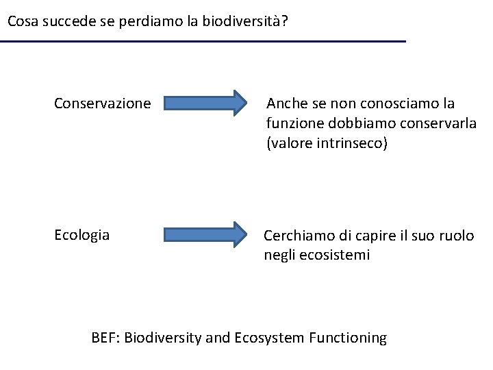 Cosa succede se perdiamo la biodiversità? Conservazione Anche se non conosciamo la funzione dobbiamo