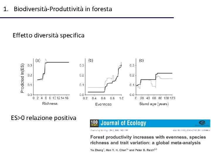 1. Biodiversità-Produttività in foresta Effetto diversità specifica ES>0 relazione positiva 