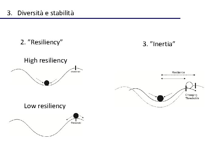 3. Diversità e stabilità 2. ”Resiliency” High resiliency Low resiliency 3. ”Inertia” 