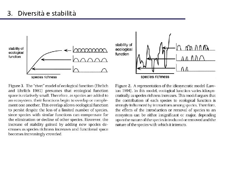 3. Diversità e stabilità 