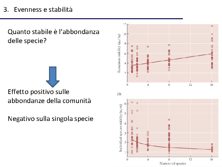 3. Evenness e stabilità Quanto stabile è l’abbondanza delle specie? Effetto positivo sulle abbondanze