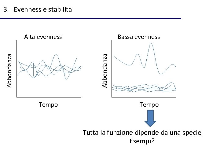 3. Evenness e stabilità Bassa evenness Abbondanza Alta evenness Tempo Tutta la funzione dipende