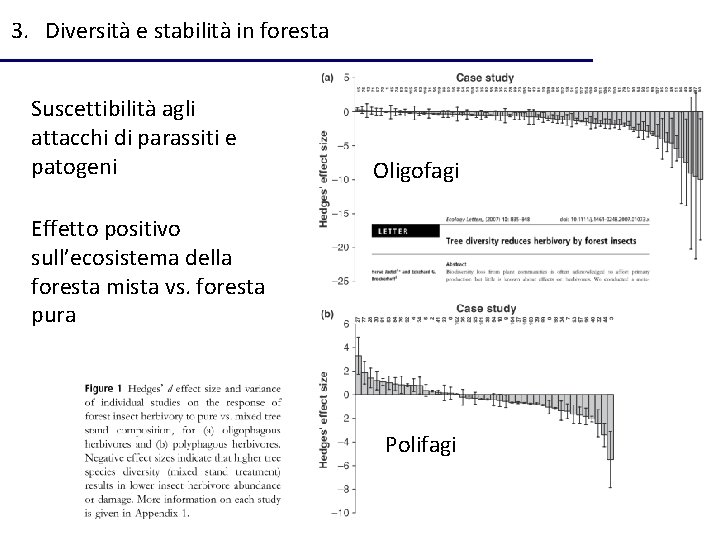 3. Diversità e stabilità in foresta Suscettibilità agli attacchi di parassiti e patogeni Oligofagi