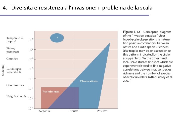 4. Diversità e resistenza all’invasione: il problema della scala 