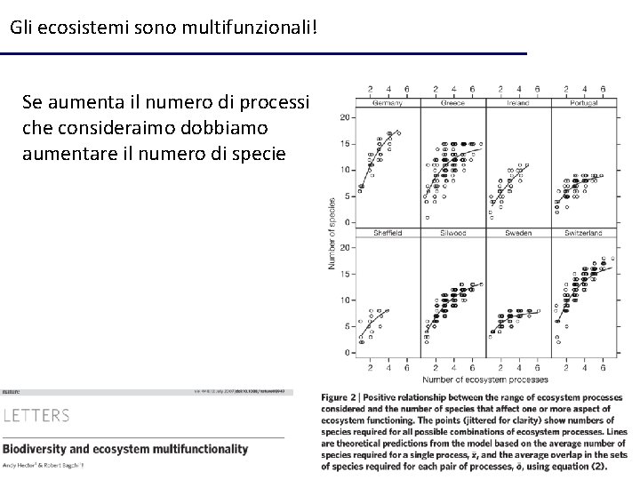 Gli ecosistemi sono multifunzionali! Se aumenta il numero di processi che consideraimo dobbiamo aumentare