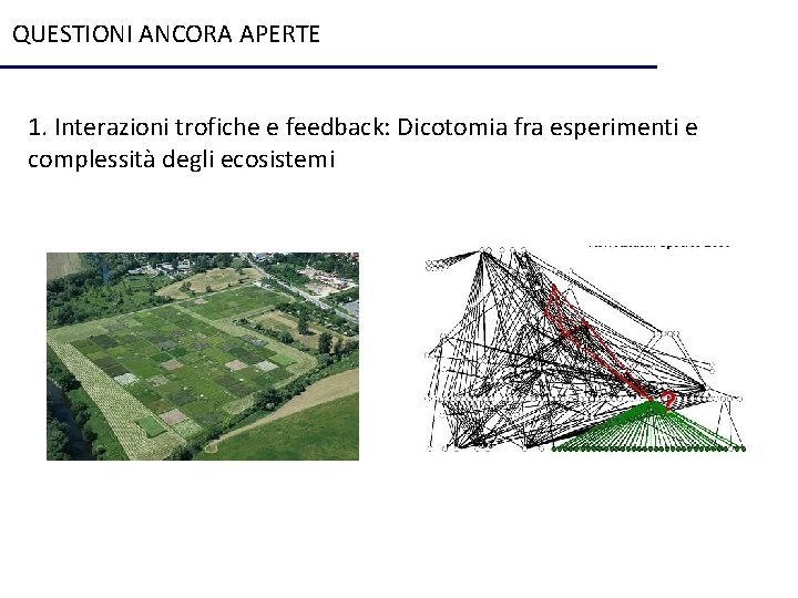 QUESTIONI ANCORA APERTE 1. Interazioni trofiche e feedback: Dicotomia fra esperimenti e complessità degli