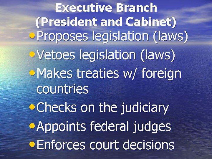 Executive Branch (President and Cabinet) • Proposes legislation (laws) • Vetoes legislation (laws) •