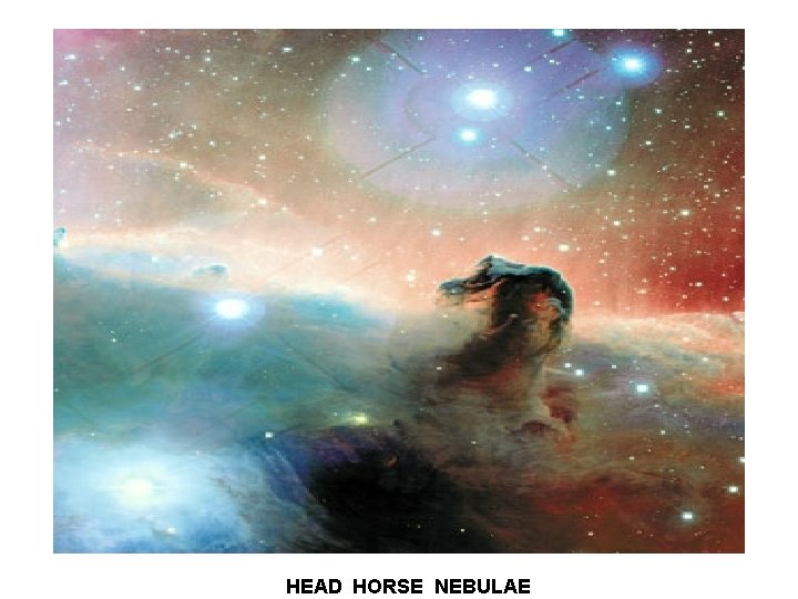 HEAD HORSE NEBULAE 