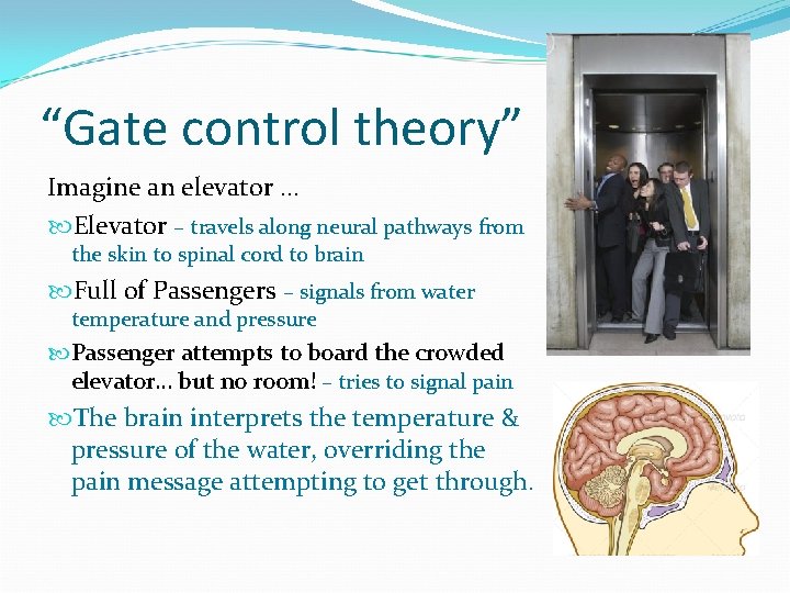 “Gate control theory” Imagine an elevator … Elevator – travels along neural pathways from