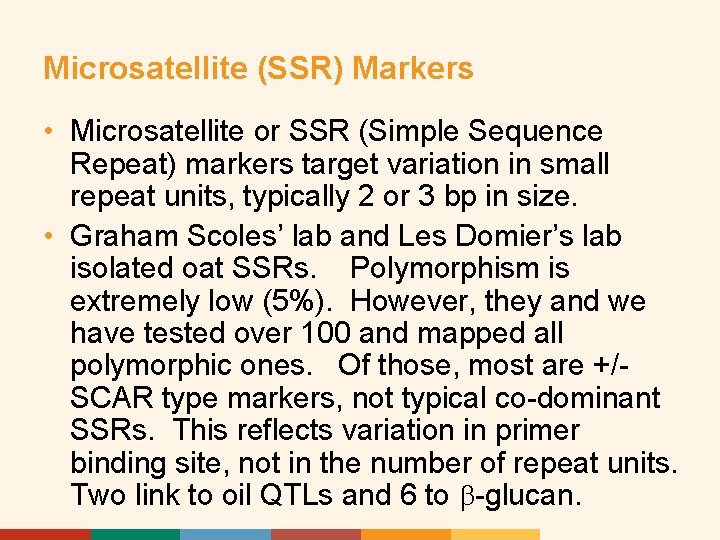 Microsatellite (SSR) Markers • Microsatellite or SSR (Simple Sequence Repeat) markers target variation in