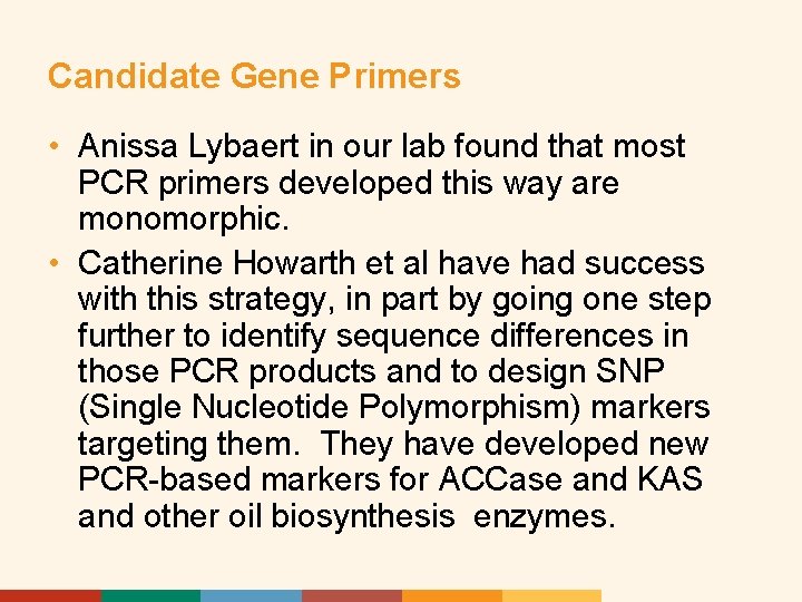 Candidate Gene Primers • Anissa Lybaert in our lab found that most PCR primers