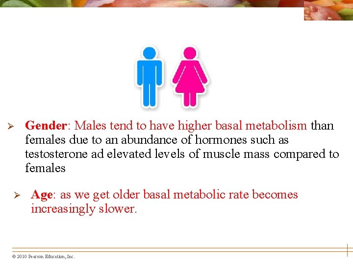 Ø Ø Gender: Males tend to have higher basal metabolism than females due to