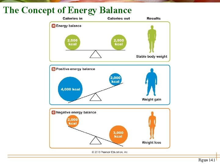 The Concept of Energy Balance Figure 14. 1 