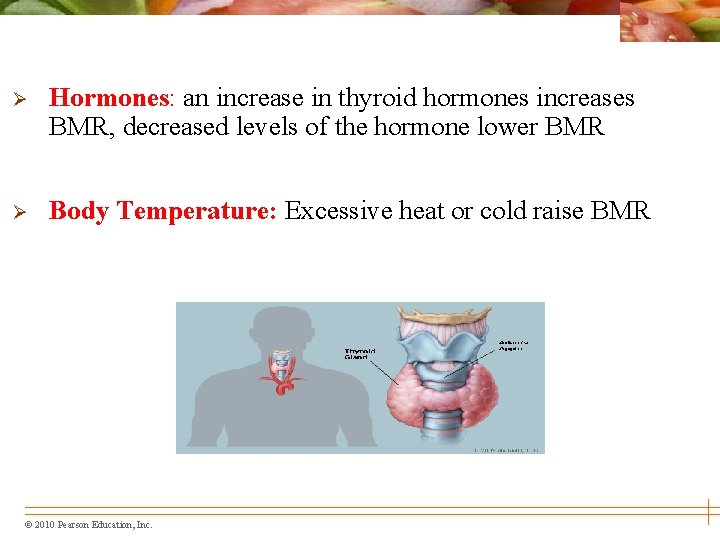 Ø Hormones: an increase in thyroid hormones increases BMR, decreased levels of the hormone
