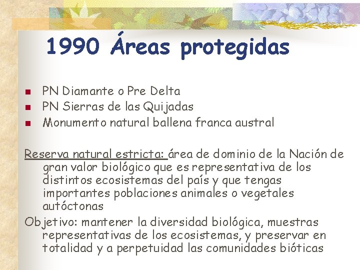 1990 Áreas protegidas n n n PN Diamante o Pre Delta PN Sierras de