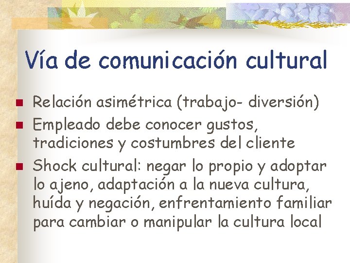 Vía de comunicación cultural n n n Relación asimétrica (trabajo- diversión) Empleado debe conocer