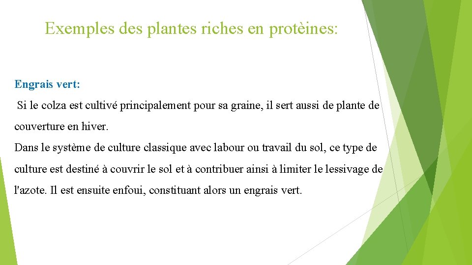 Exemples des plantes riches en protèines: Engrais vert: Si le colza est cultivé principalement