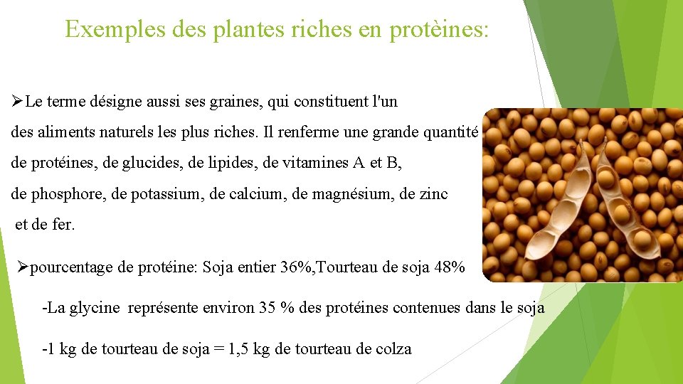 Exemples des plantes riches en protèines: ØLe terme désigne aussi ses graines, qui constituent