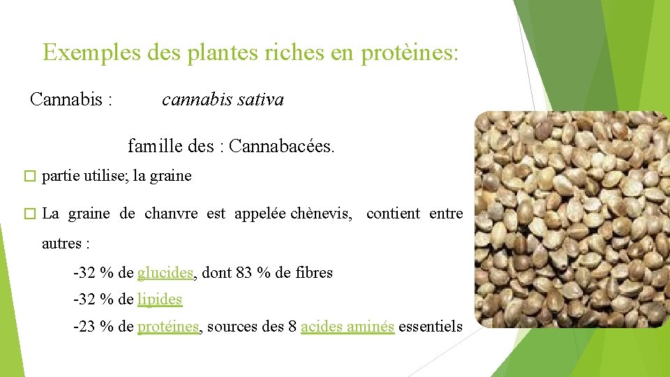 Exemples des plantes riches en protèines: Cannabis : cannabis sativa famille des : Cannabacées.