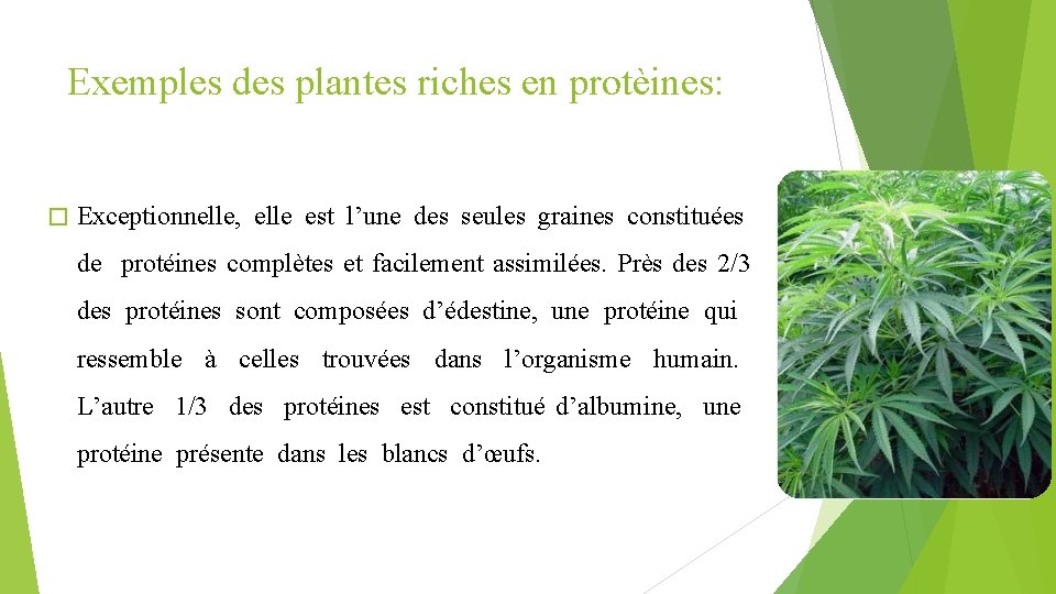 Exemples des plantes riches en protèines: � Exceptionnelle, elle est l’une des seules graines