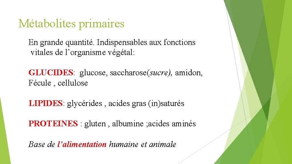Métabolites primaires En grande quantité. Indispensables aux fonctions vitales de l’organisme végétal: GLUCIDES: glucose,