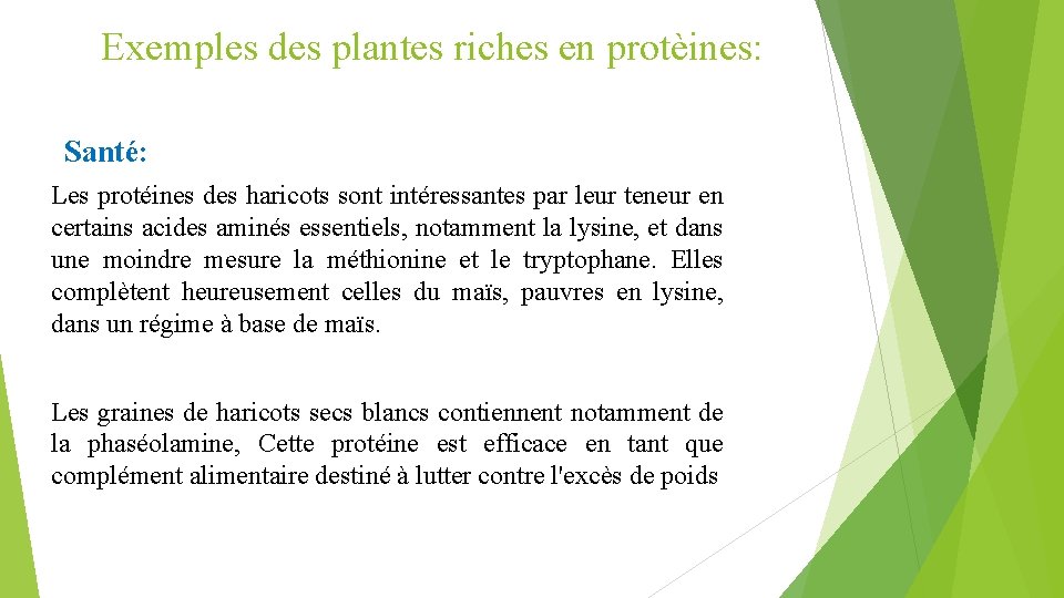 Exemples des plantes riches en protèines: Santé: Les protéines des haricots sont intéressantes par