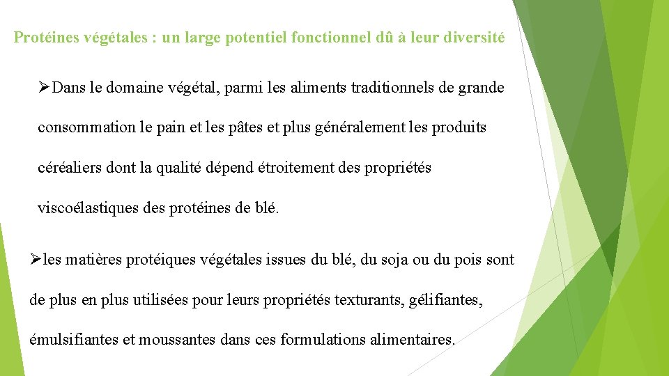 Protéines végétales : un large potentiel fonctionnel dû à leur diversité ØDans le domaine