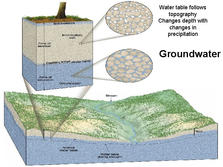 Water table follows topography Changes depth with changes in precipitation Groundwater 