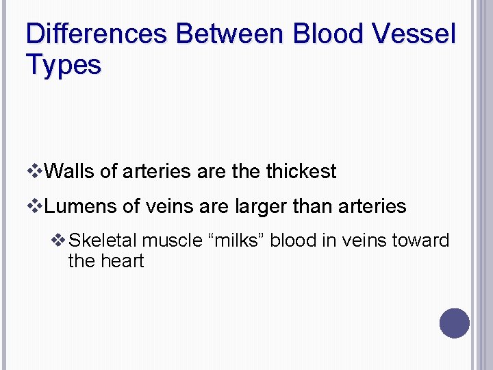 Differences Between Blood Vessel Types v. Walls of arteries are thickest v. Lumens of