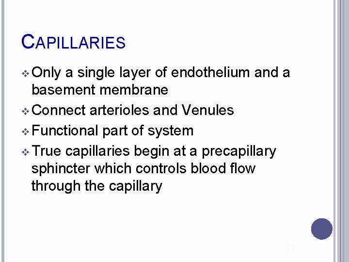 CAPILLARIES v Only a single layer of endothelium and a basement membrane v Connect