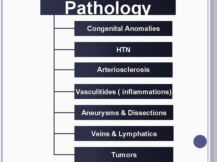 Pathology Congenital Anomalies HTN Arteriosclerosis Vasculitides ( inflammations) Aneurysms & Dissections Veins & Lymphatics