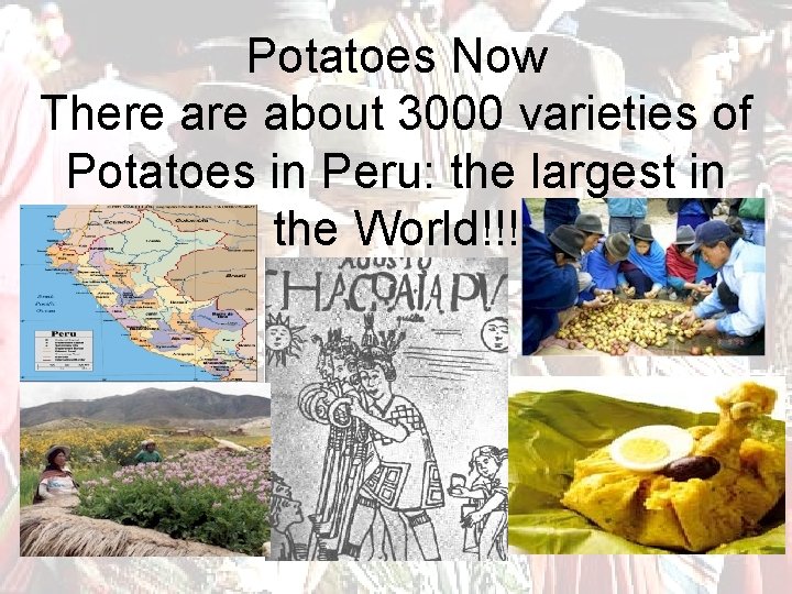 Potatoes Now There about 3000 varieties of Potatoes in Peru: the largest in the