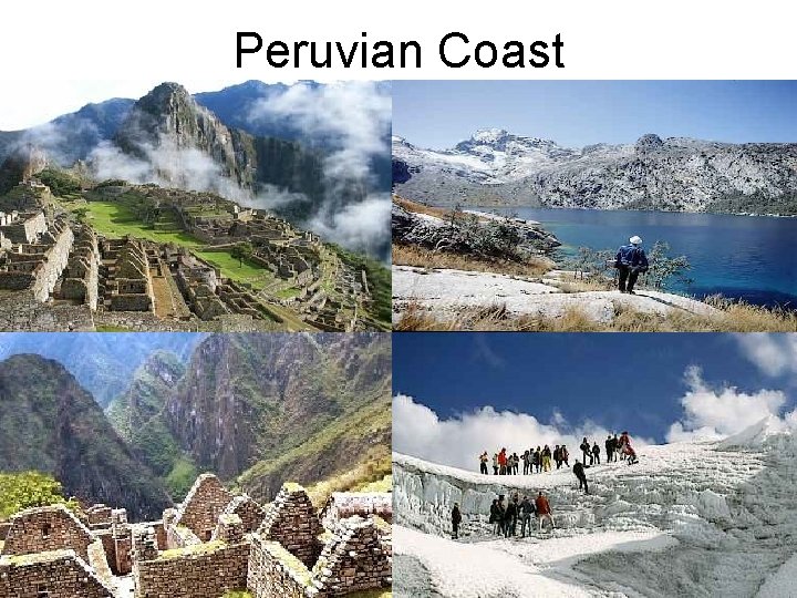 Peruvian Coast 