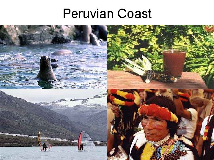 Peruvian Coast 