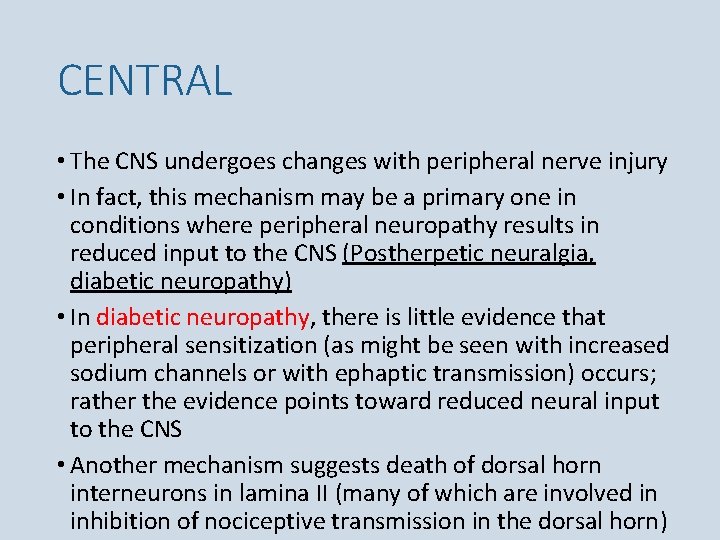 CENTRAL • The CNS undergoes changes with peripheral nerve injury • In fact, this