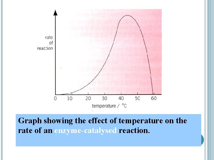 Graph showing the effect of temperature on the rate of an enzyme-catalysed reaction. 