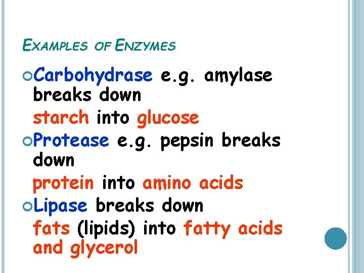 EXAMPLES OF ENZYMES Carbohydrase e. g. amylase breaks down starch into glucose Protease e.