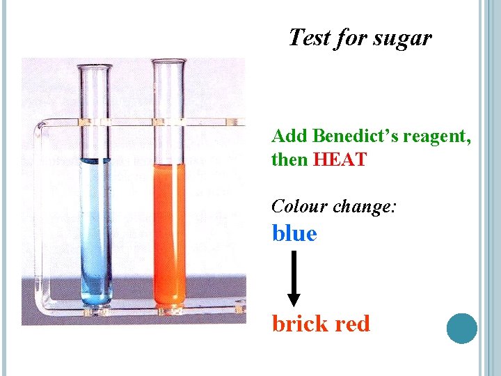 Test for sugar Add Benedict’s reagent, then HEAT Colour change: blue brick red 