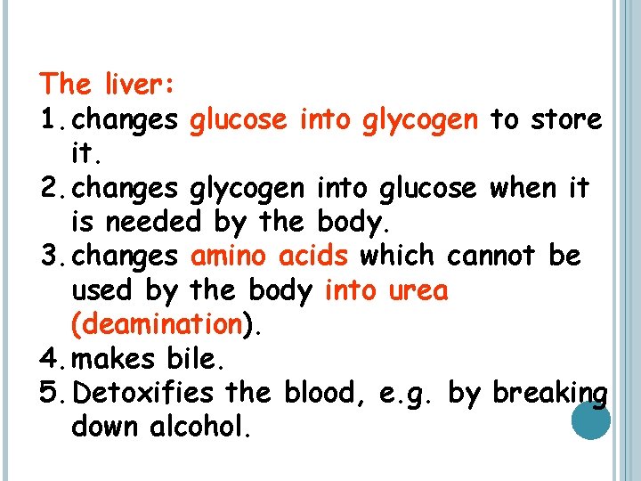 The liver: 1. changes glucose into glycogen to store it. 2. changes glycogen into