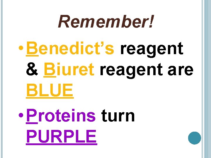 Remember! • Benedict’s reagent & Biuret reagent are BLUE • Proteins turn PURPLE 