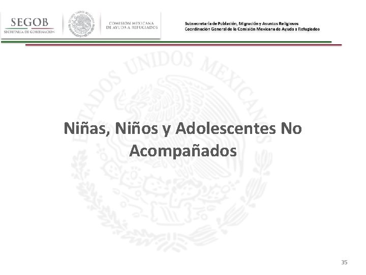 Niñas, Niños y Adolescentes No Acompañados 35 