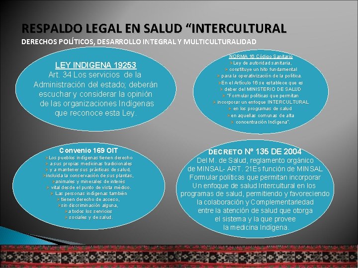 RESPALDO LEGAL EN SALUD “INTERCULTURAL DERECHOS POLÍTICOS, DESARROLLO INTEGRAL Y MULTICULTURALIDAD LEY INDIGENA 19253